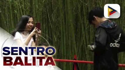 Bamboo Eco Park sa Baguio City na mala-Japan, patok ngayon sa mga turista; health protocols , mahigpit ding ipinatutupad