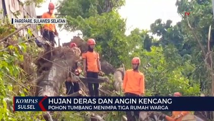 Download Video: Pohon Tumbang Menimpa Tiga Rumah Warga