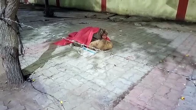 पास से गुजरते रहे लोग किसी ने हालचाल पूछने के लिए जहमत तक नहीं उठाई