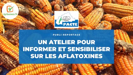 Burkina Faso : Un atelier pour informer et sensibiliser sur les AFLATOXINES