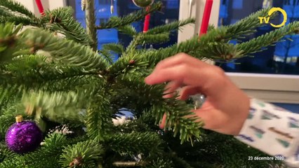 Sujet: fêter Noel sans le risque incendie