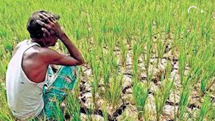कर्ज़ माफ़ी: हज़ारों करोड़ के ऐलान, पर राहत न पाये किसान