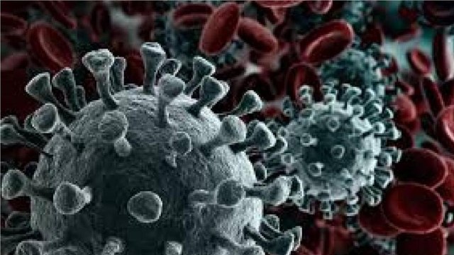 After Britain, new COVID strain found in South Africa