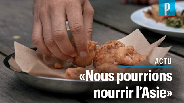 Du poulet artificiel pour la première fois servi dans des assiettes à Singapour