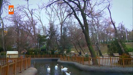 Yusuf ve Gönül'ün mutlu günü...