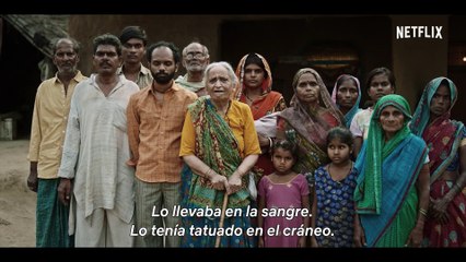 Tigre Blanco Película