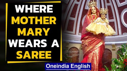 Christmas special: Mother Mary wears Kanjeevarams in a syncretic tradition | Oneindia News