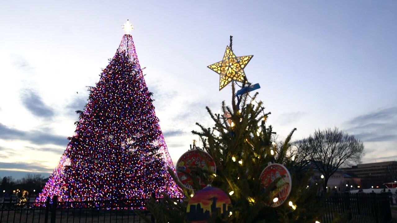 Washington erstrahlt im Schein der Weihnachtsbäume