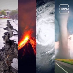 Biggest Natural Calamities That Shook The World In 2020