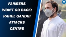 Farmers Won’t Go Back: Rahul Gandhi Attacks Centre