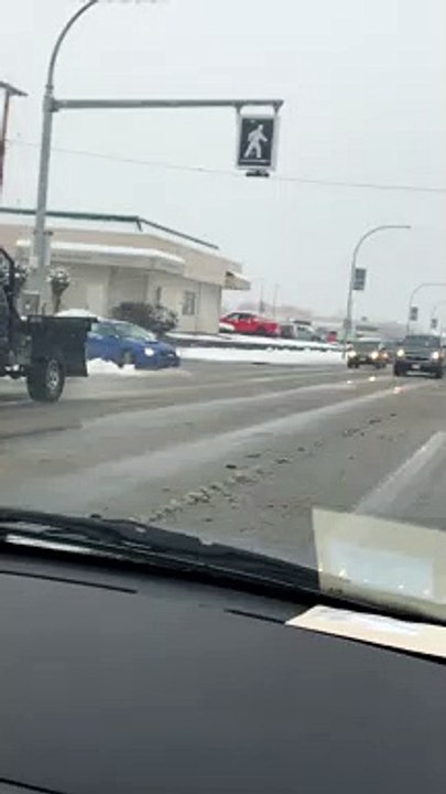 Traffic Doesn't Stop for Deer Using Crosswalk