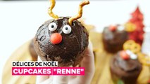 Délices de Noël : Cupcakes 