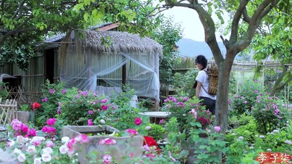 रसदार और निविदा बांस की शूटिंग का उपभोग करने के लिए वर्ष का सबसे अच्छा समय - जितना चाहें उतना चुनें