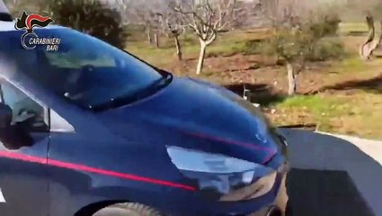 Santeramo in Colle (BA) - Armi, droga e botti illegali arrestati coniugi (24.12.20)
