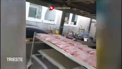 San Dorligo (TS) - Salmone affumicato illegale sequestrati 300 chili (24.12.20)