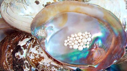 Las Perlas (Reflexiones) | Yohan Cala