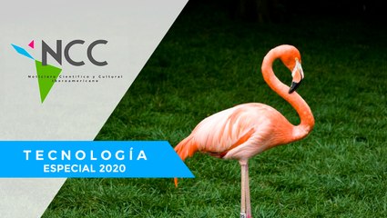 Con los hu­ma­nos con­fi­na­dos, los ani­ma­les sal­va­jes re­cla­man sus es­pa­cios na­tu­ra­les