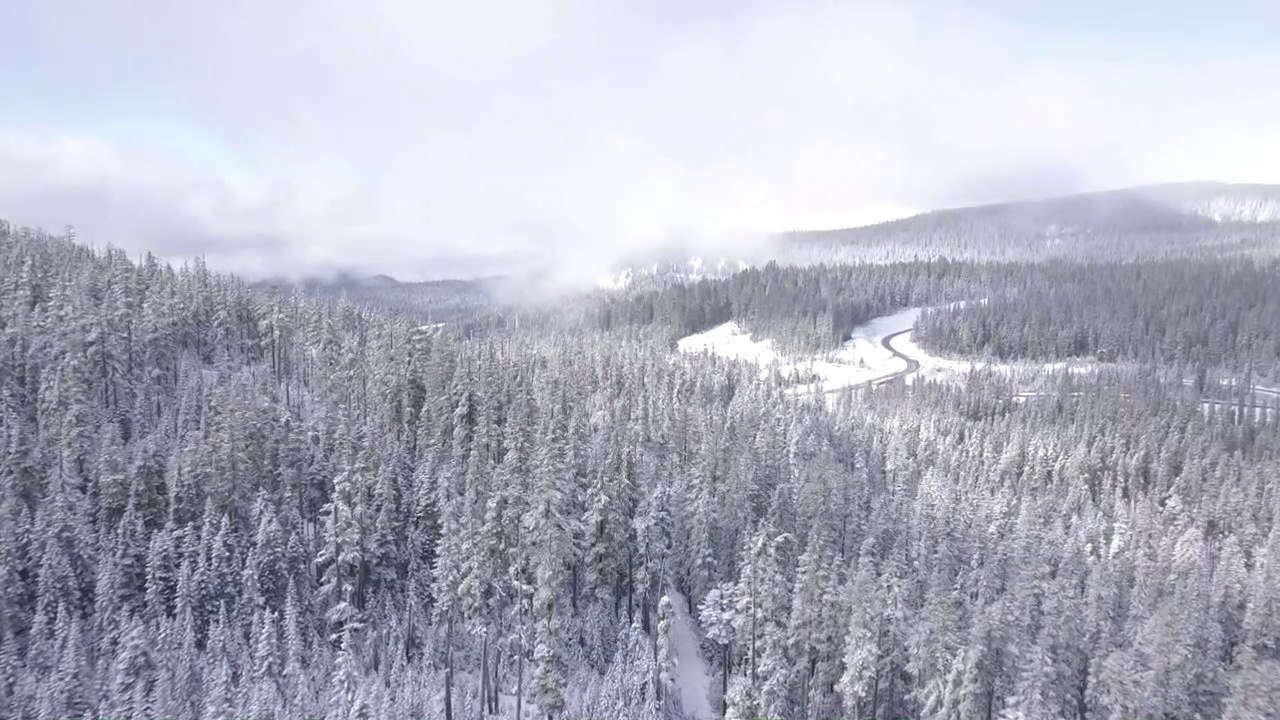 White Winter Scenery  to Relax Your Mind and Soothe Your Soul