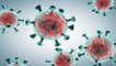 More infectious coronavirus strain found in South Africa