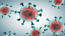More infectious coronavirus strain found in South Africa