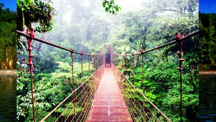 10 Lugares Sorprendentes de Costa Rica que Deberías Conocer | Yohan Cala