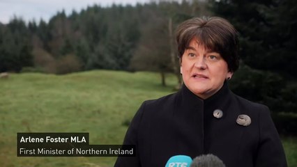 Arlene Foster: EU trade deal is 'good news'