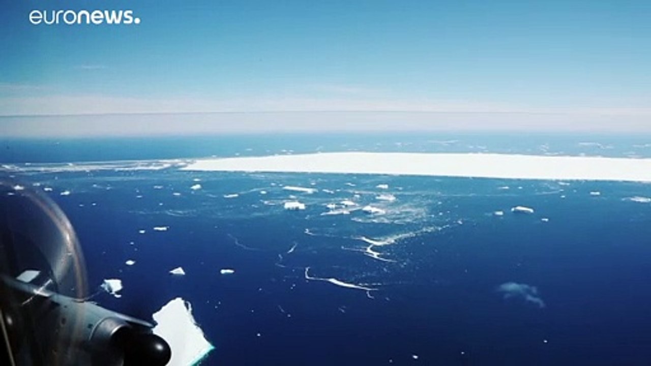Riesen-Eisberg bricht auseinander und bedroht Tierwelt auf Südgeorgien