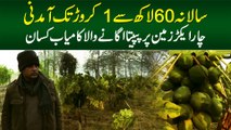 Salana 60 Lakh Se 1 Crore Tak Income - 4 Acre Zameen Per Papita Ugane Wala Kamiyab Kisan