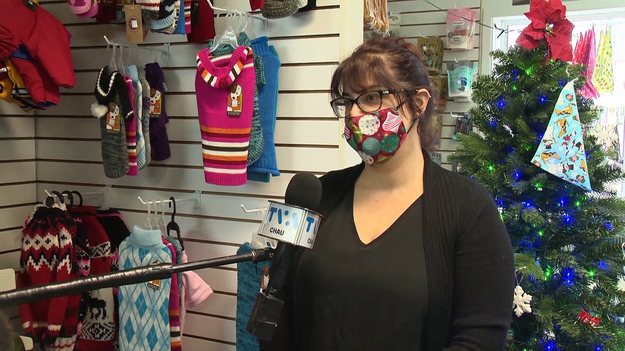 24 dec TOPO PG animaux pour noel