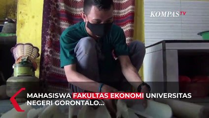 Unik! Mahasiswa di Gorontalo Produksi Keripik dari Pelepah Pisang