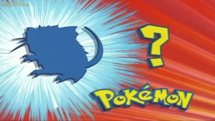 Quem é Esse Pokémon ? É o Raticate