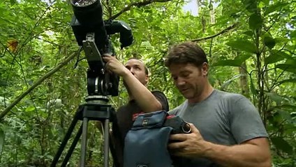 Deadly 60 S02E26 	Endangered (Special)