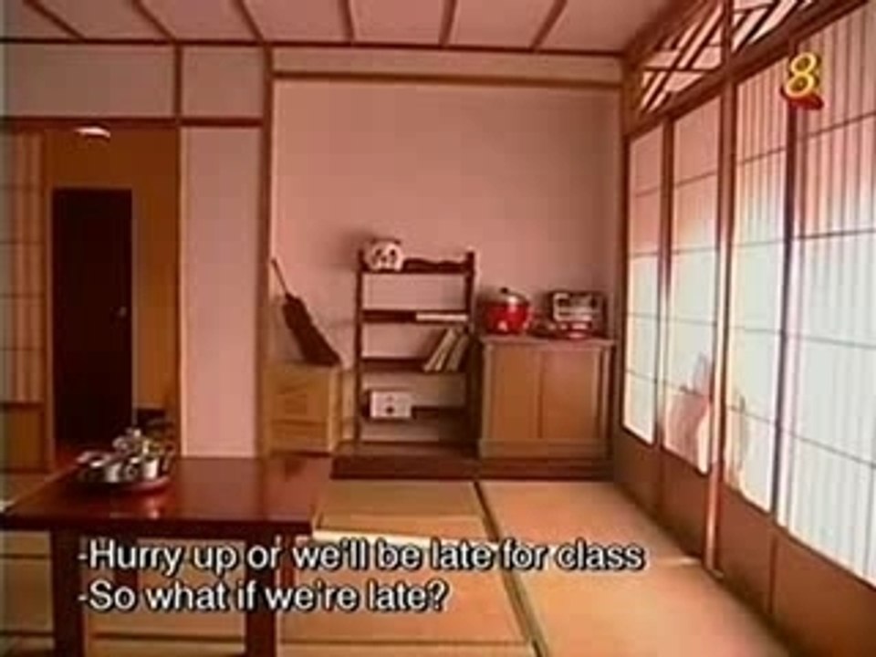 Meteor Garden 11.3