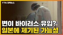 [자막뉴스] 변이 바이러스 유입?...'무서운 확산' 일본에 제기된 가능성 / YTN