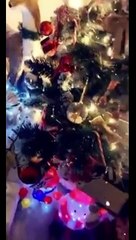 Sapin de noel des tretsois 2020