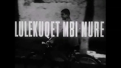 Lulekuqet mbi mure - pjesa 1HD