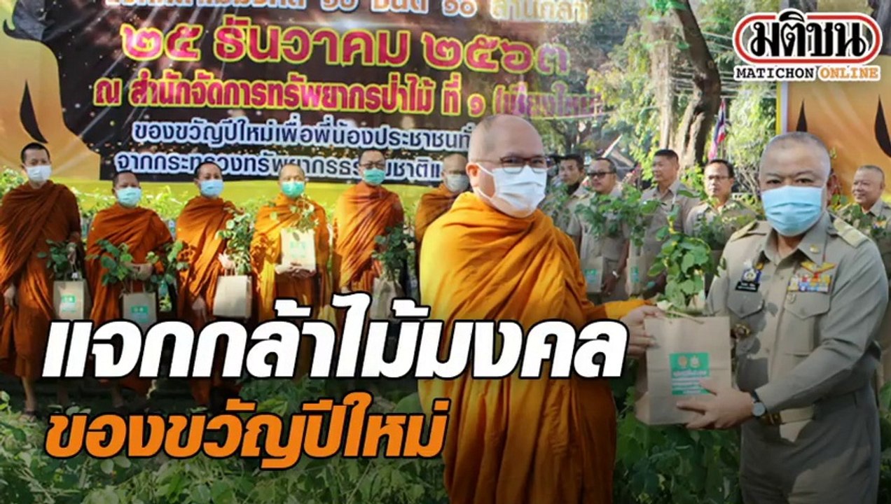 แจกกล้าไม้