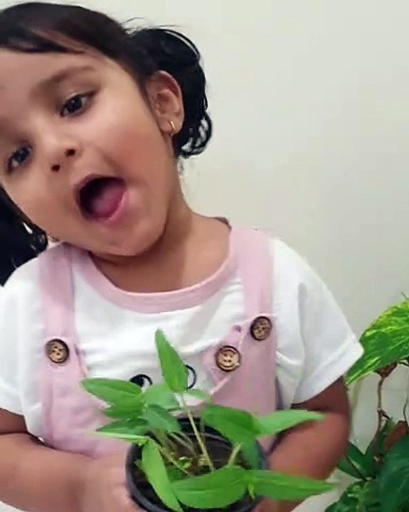 Children Learning Videos Children's Educational Videos Masters Play Group present, Pre School Learning for Kids. Masters Play Group offers the best of Montessori education by various Childers Play Activities so that Kids can learn via various Activities a