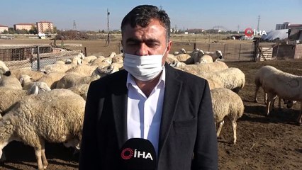 Küçükbaş hayvanlar meralardan mandıralara taşındı
