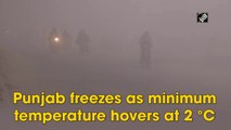 Punjab freezes as minimum temperature hovers at 2 °C.