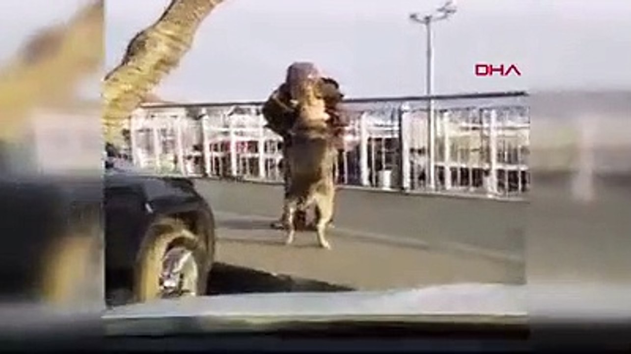 Sarıyer'de yürekleri ısıtan görüntü