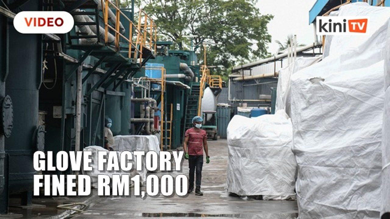 Glove factory fined RM1,000 after raid