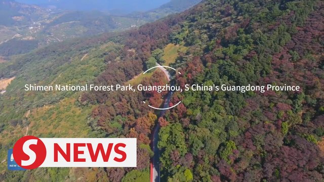 Scenery of red leaves showing in South China