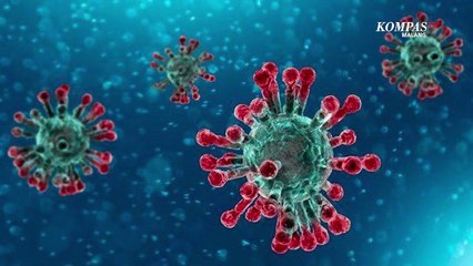 Data Covid-19 Kota Malang 25 Desember 2020