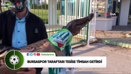Bursaspor taraftarı tesise timsah getirdi