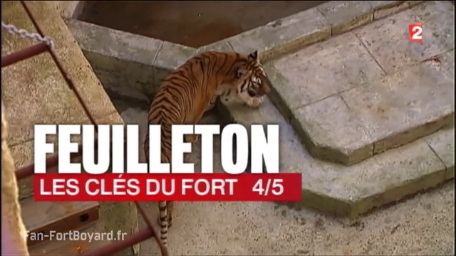 Fort Boyard 2015 - Feuilleton Les Clés du Fort : Épisode 4/5 (11/06/2015)