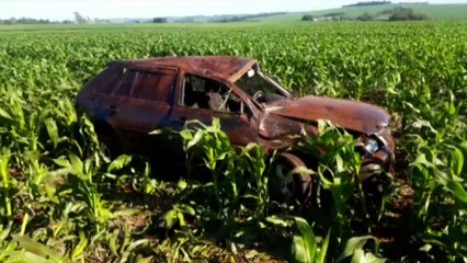 Veículo capota e para em meio a plantação na BR-467, em Sede Alvorada