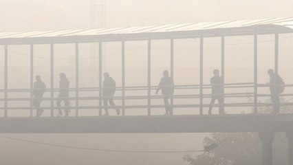 Fog in Delhi, bone-chilling winter wreaks havoc in capital