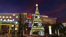 Christmas Celebrations In Telangana | Oneindia Telugu