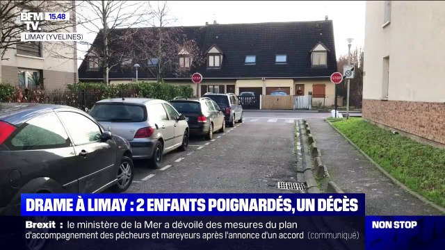 Drame à Limay, dans les Yvelines: Deux enfants poignardés dont un mortellement